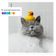 Тетрадь 48 л, клетка   КОТ С УТКОЙ А5+, в ассорт/70924