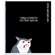 Тетрадь предметнaя АНГЛИЙСКИЙ ЯЗЫК'КОТЫ МЕМЫ'48л,А5+,кл,справ.инф/69828